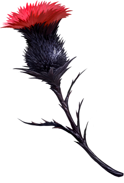 Widowthistle